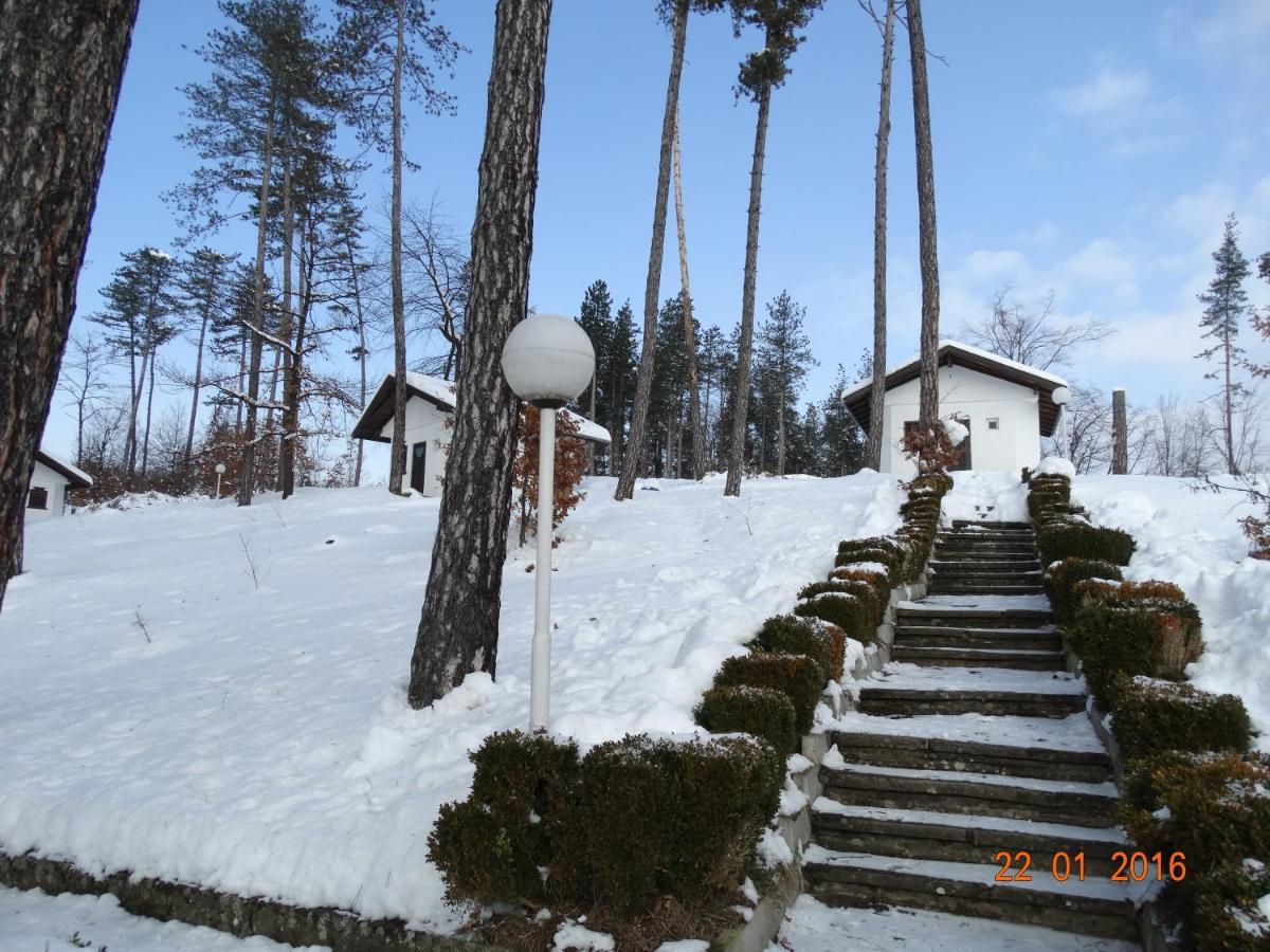 فندق Complex Brashlyan تريفنا الغرفة الصورة